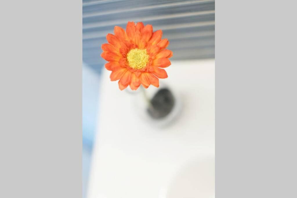 Apartamento Diseno A Cien Metros Del Mar. Torredembarra Buitenkant foto